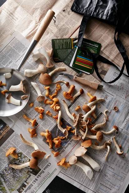 Eräpannu - Keittiö ja kattaus - 5510 - 2