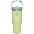 StanleyIceFlow Flip Straw Tumbler 0,89l - Termosmukit - B81 - 8
